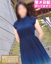夏帆